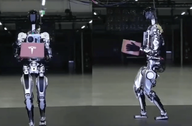 马斯克：未来会有猫女造型的Optimus女性机器人